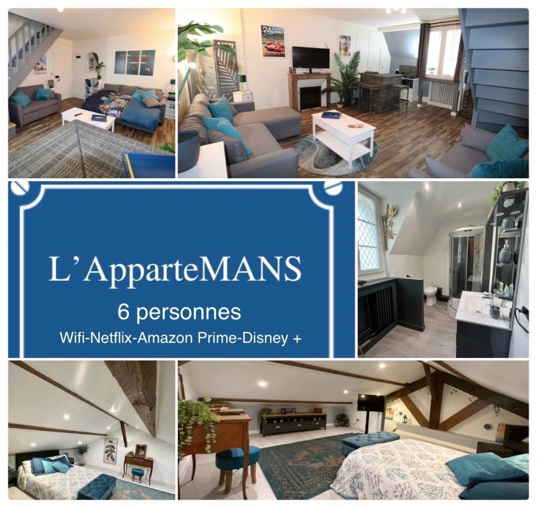 Duplex Au 2Eme Et De Notre Maison -Acces Au Jardin-Smart Tv-Streaming-Wifi Le Mans Eksteriør billede